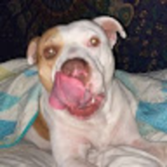 prettypup1218